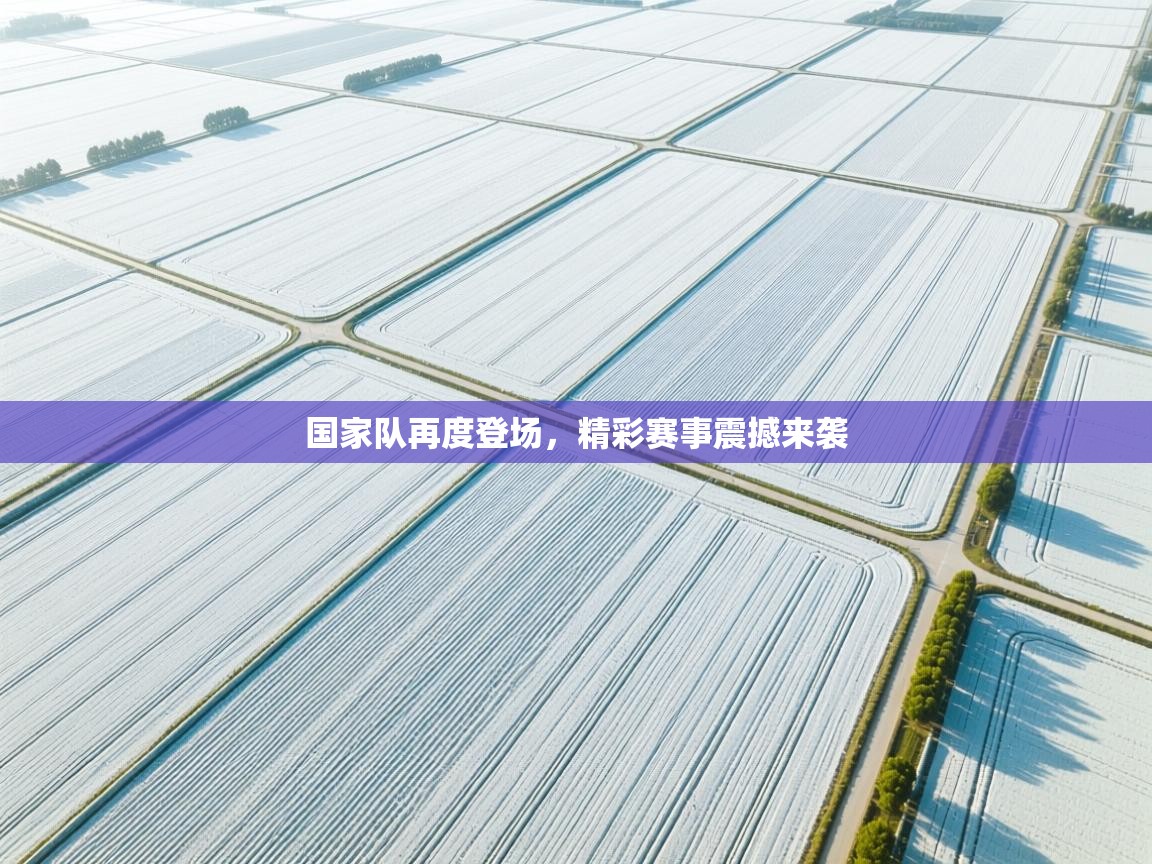 国家队再度登场，精彩赛事震撼来袭