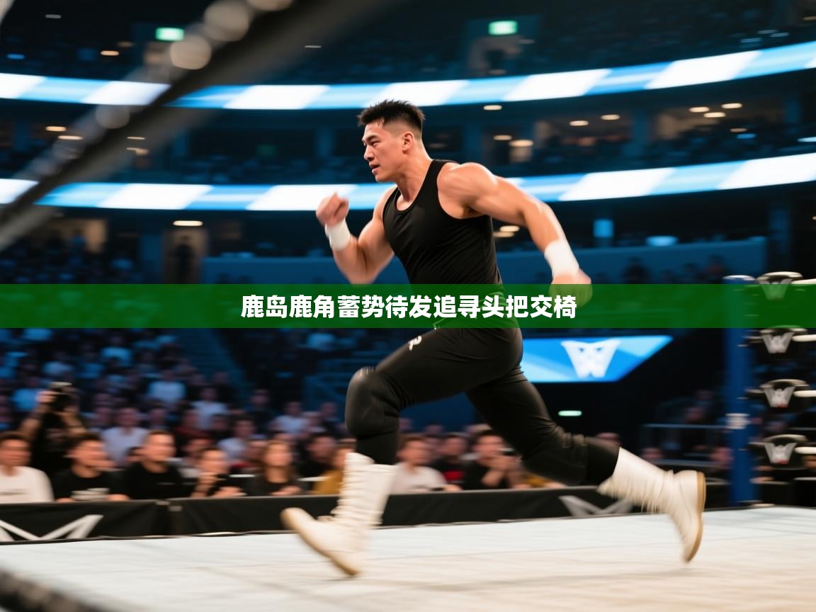 鹿岛鹿角蓄势待发追寻头把交椅  第1张