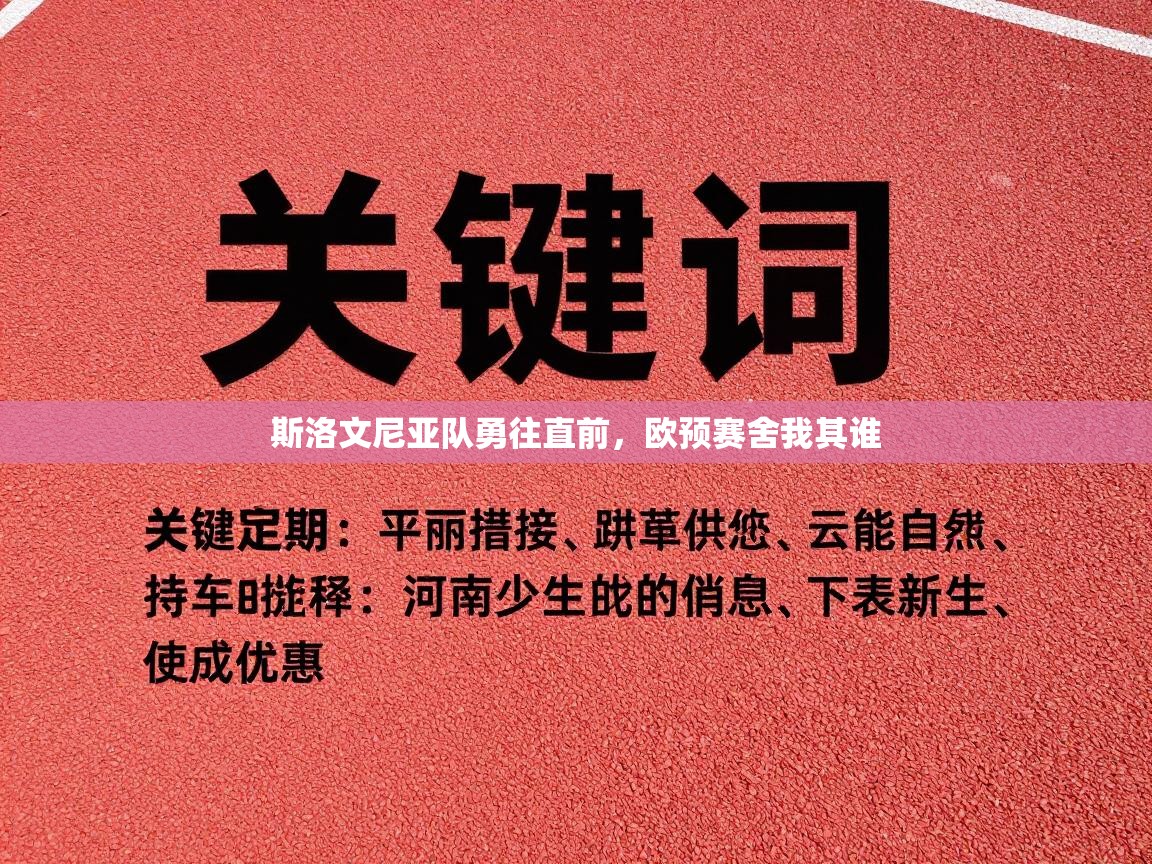 斯洛文尼亚队勇往直前,欧预赛舍我其谁 第2张