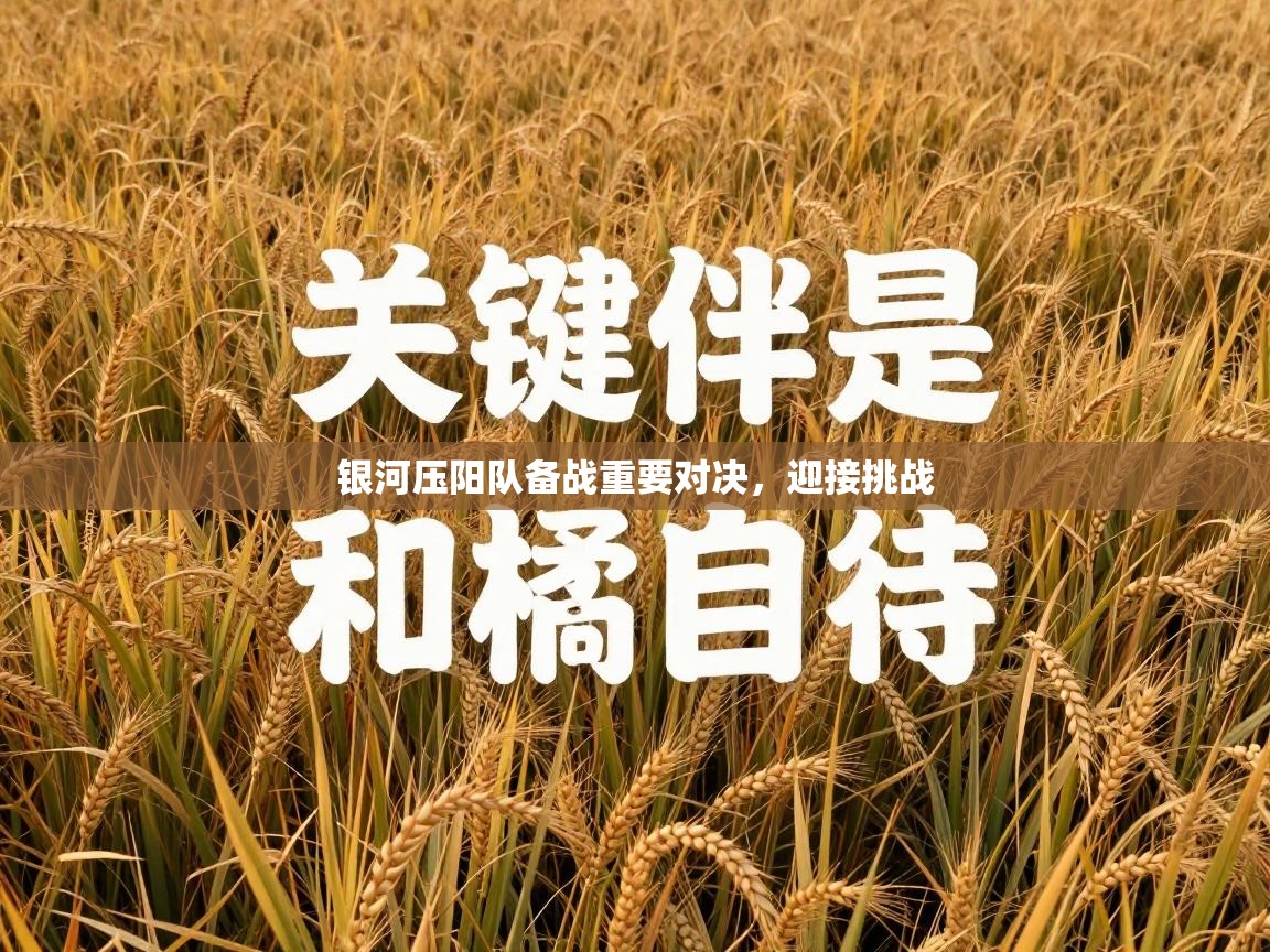 银河压阳队备战重要对决，迎接挑战  第2张